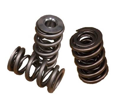 Valve Springs, Dual